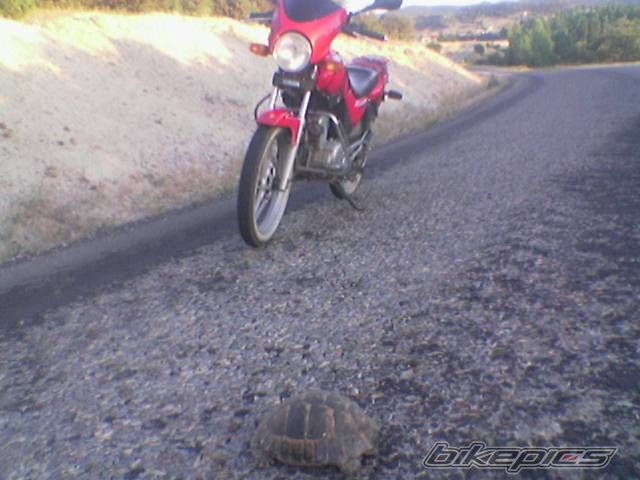 Photo 1486901