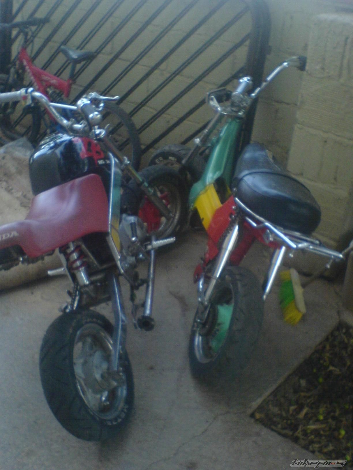 Photo 1486945