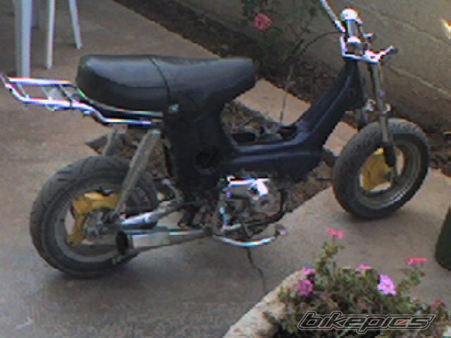 Photo 1486953