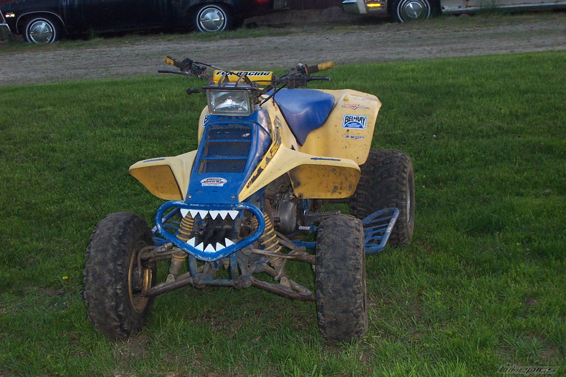 Photo 148696