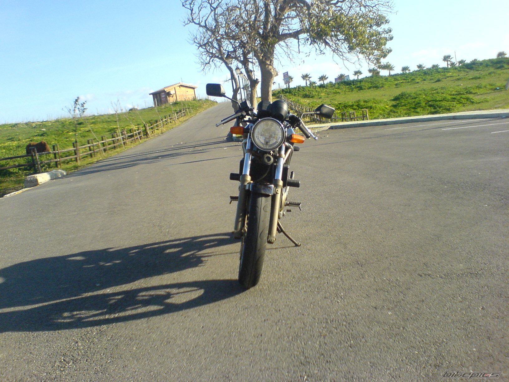 Photo 1487036