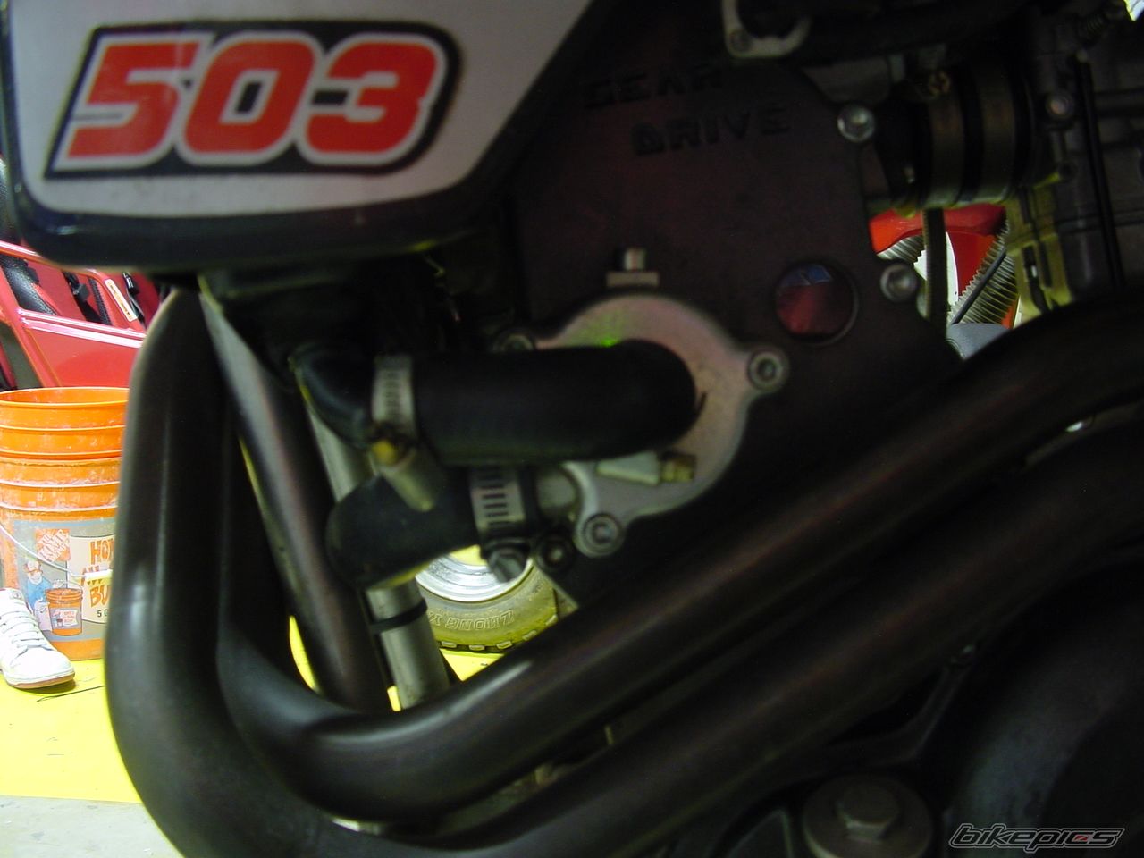 Photo 1487182