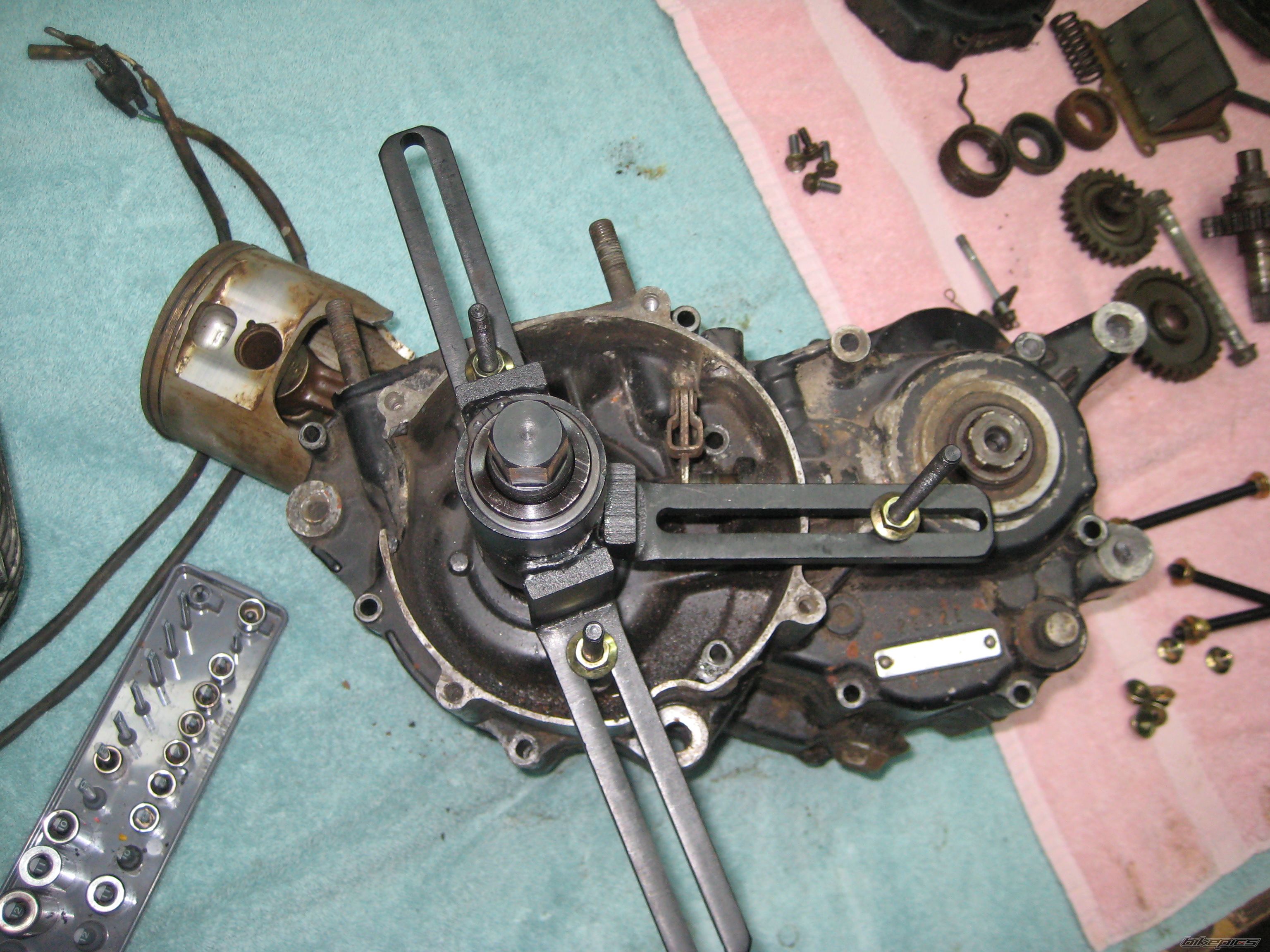 Photo 1487231