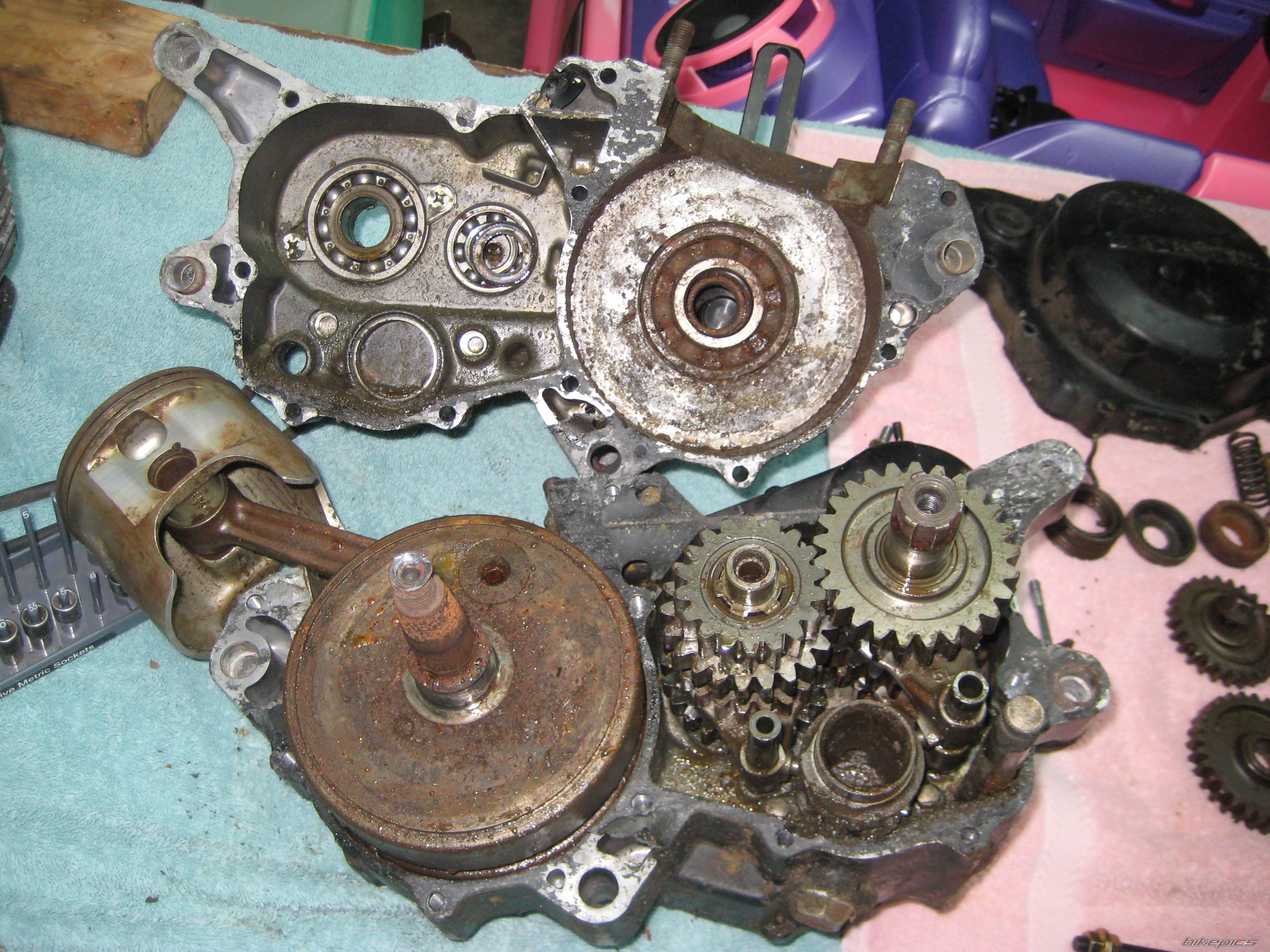 Photo 1487232
