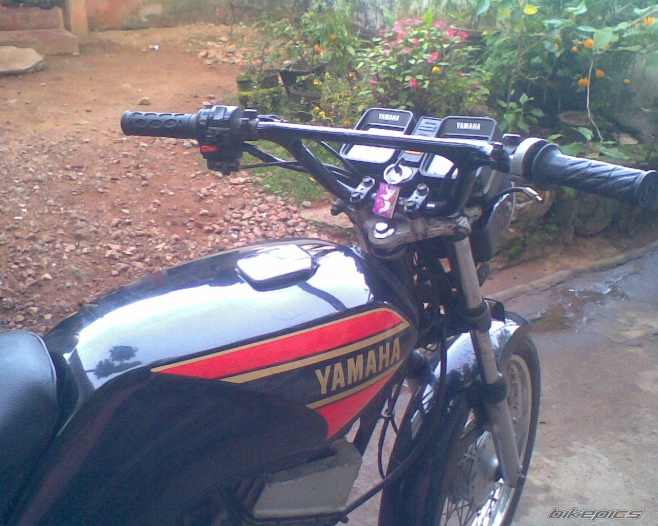 Photo 1487241