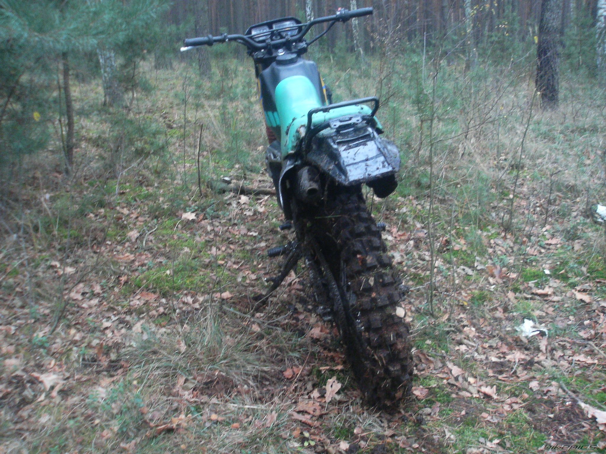Photo 1487335