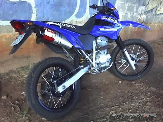Photo 1487382
