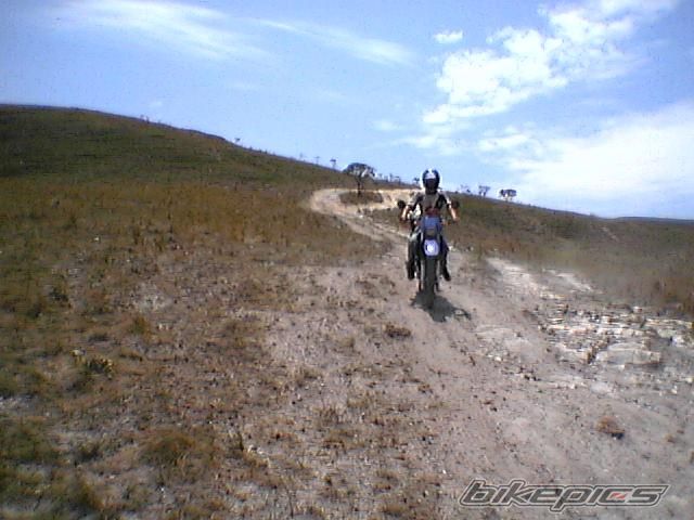 Photo 1487384