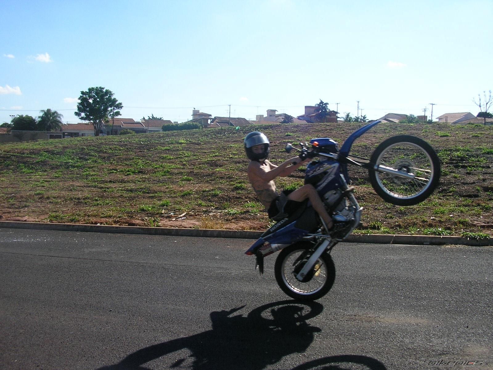 Photo 1487387
