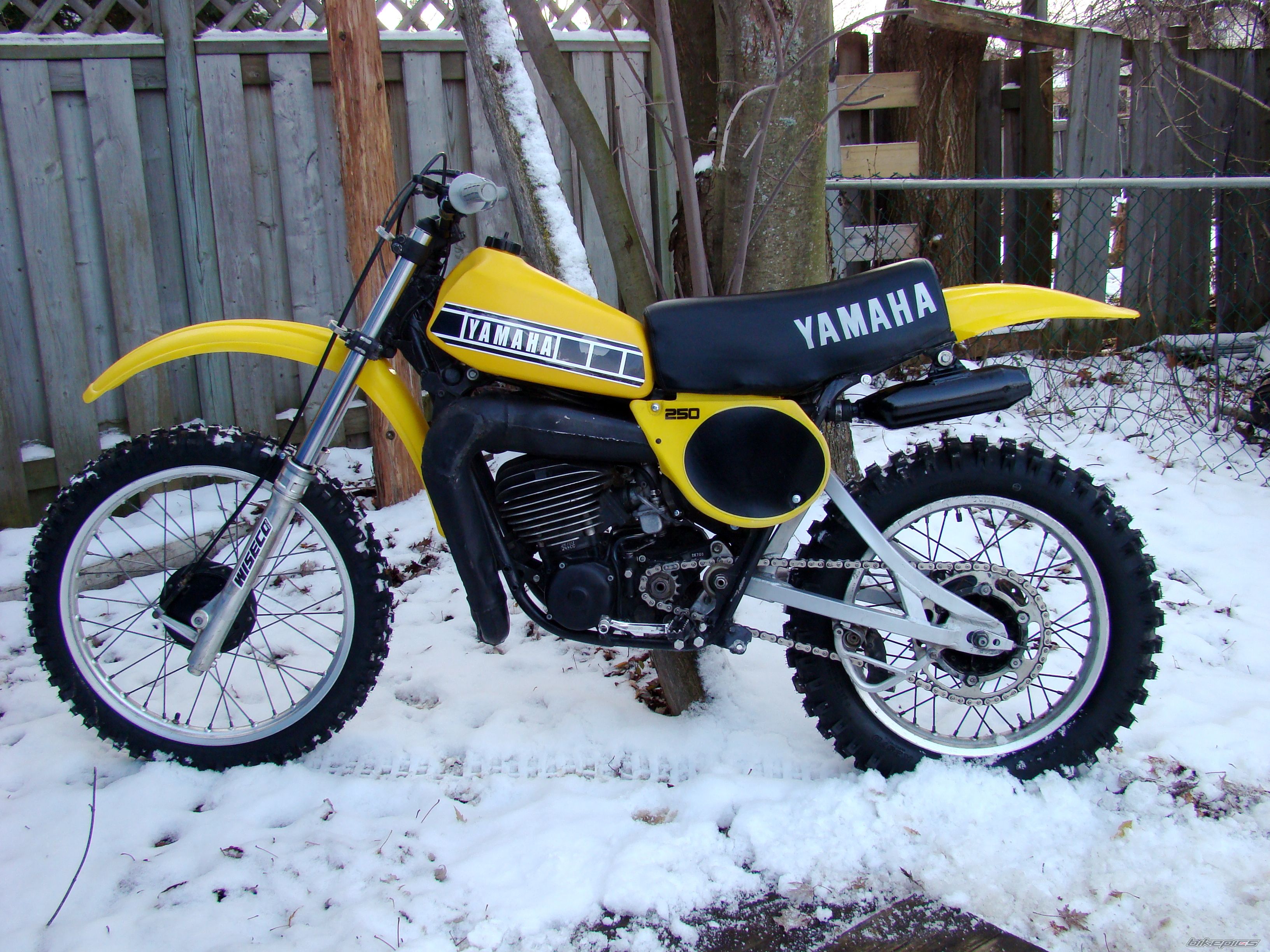 Photo 1487421