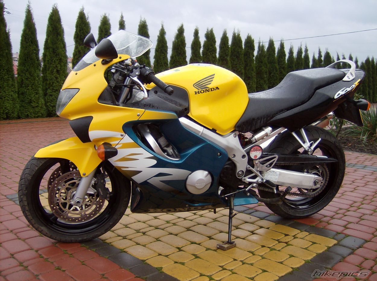 Photo 1487622