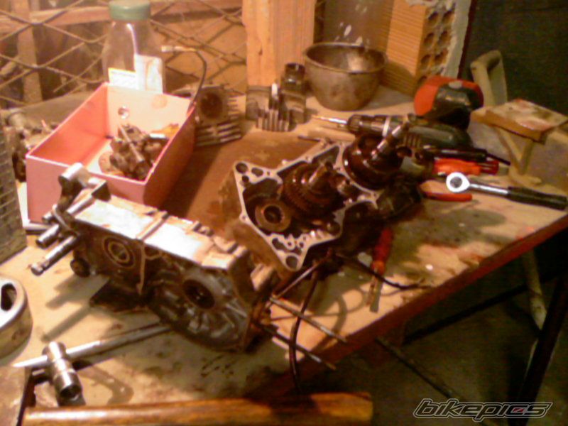 Photo 1487624