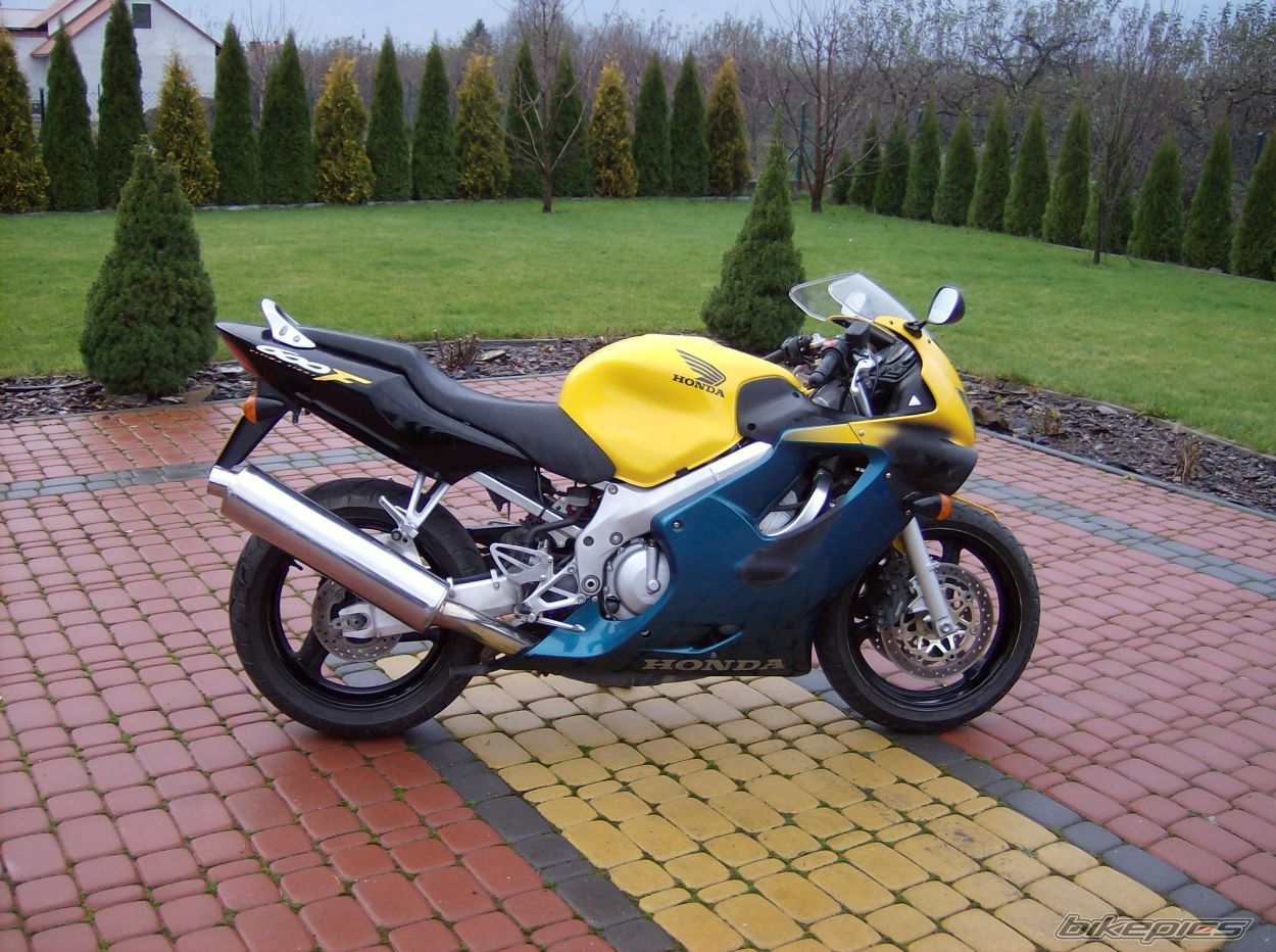 Photo 1487625