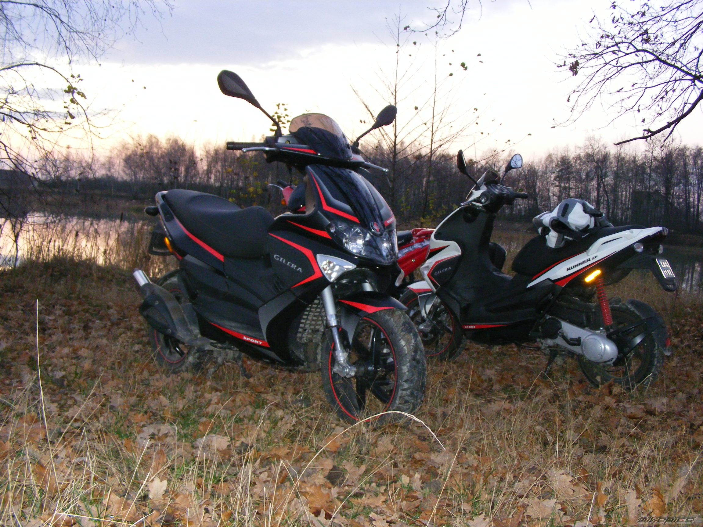 Photo 1487682
