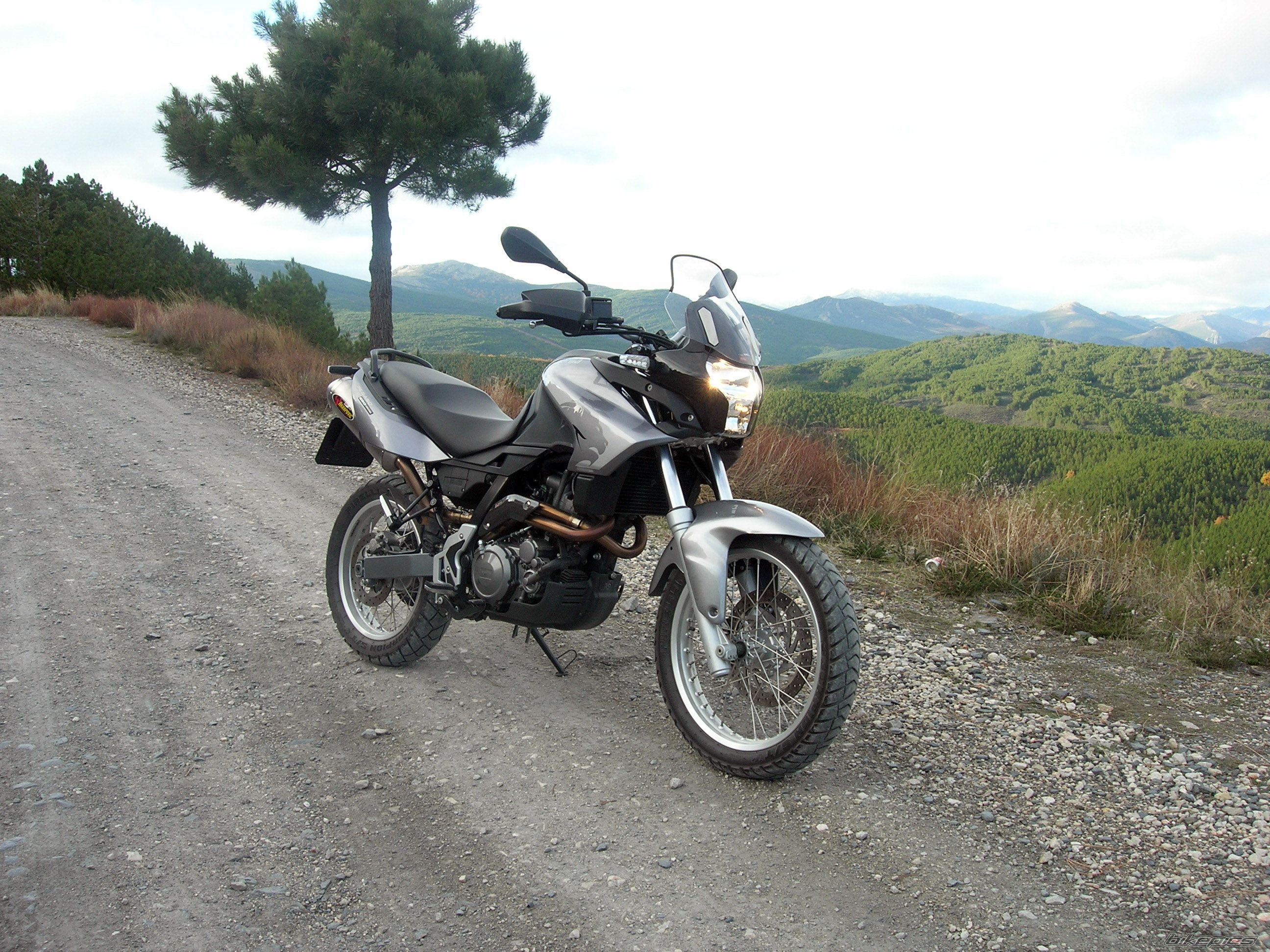 Photo 1487702
