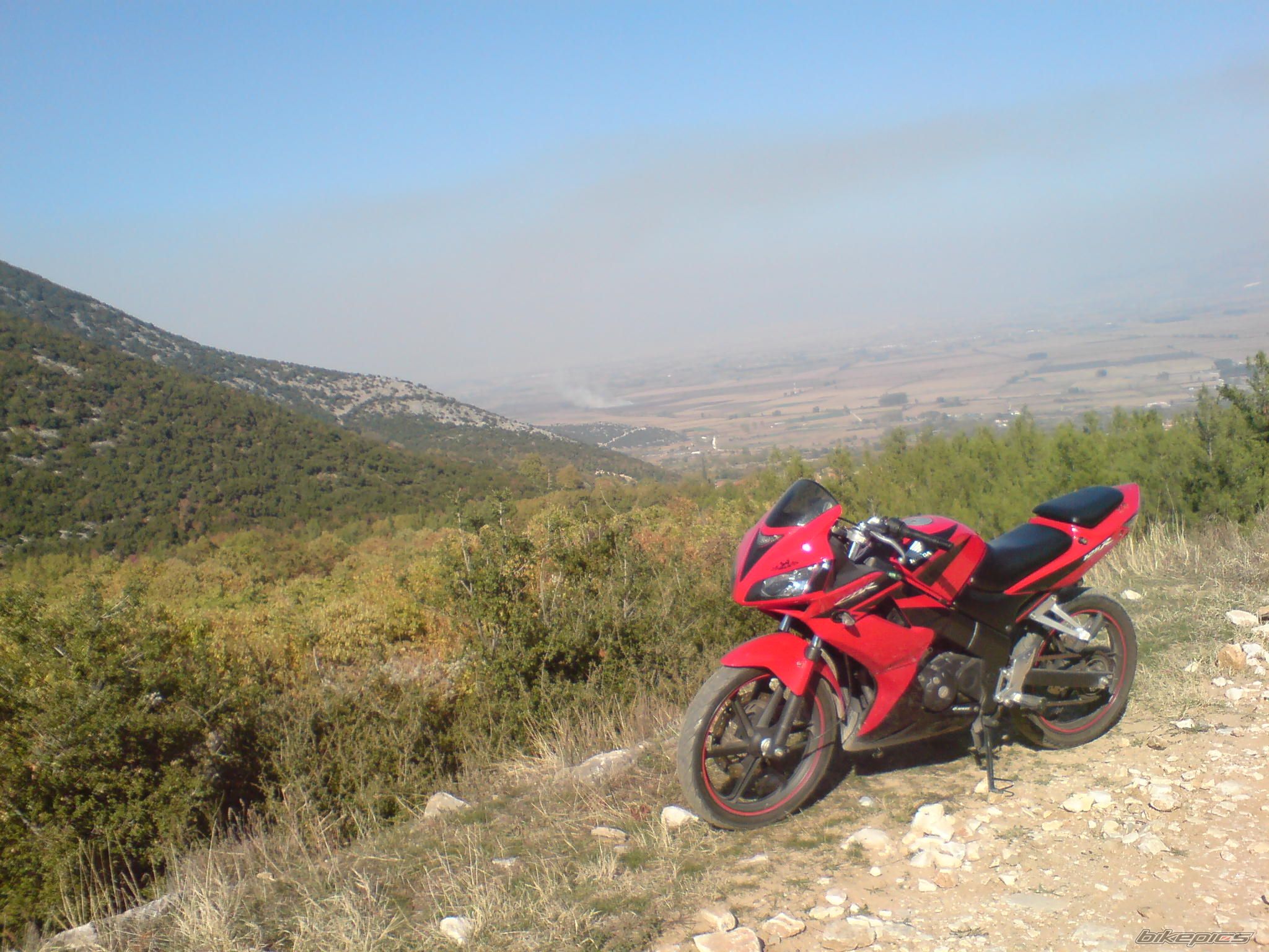 Photo 1487771