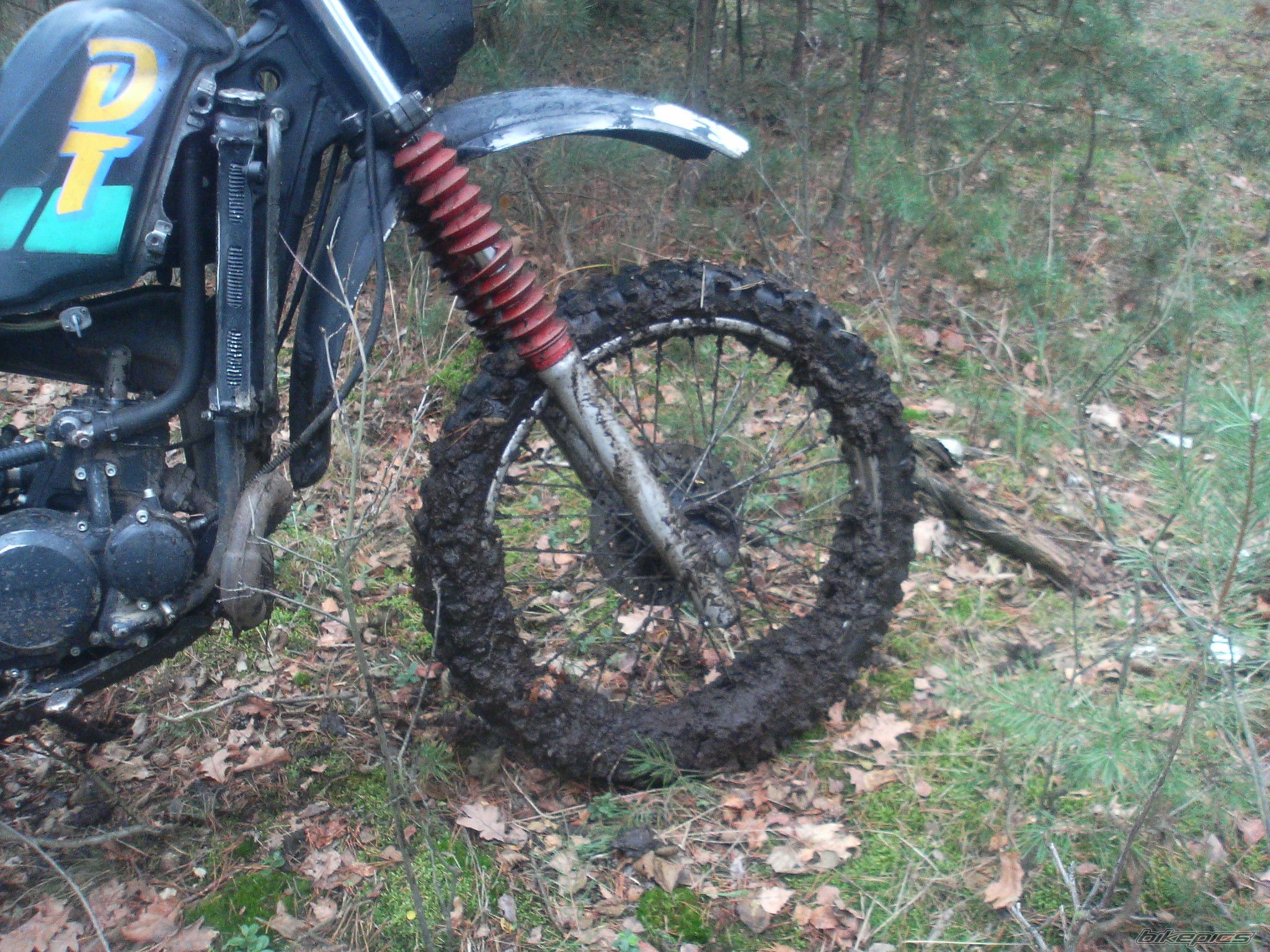 Photo 1487785