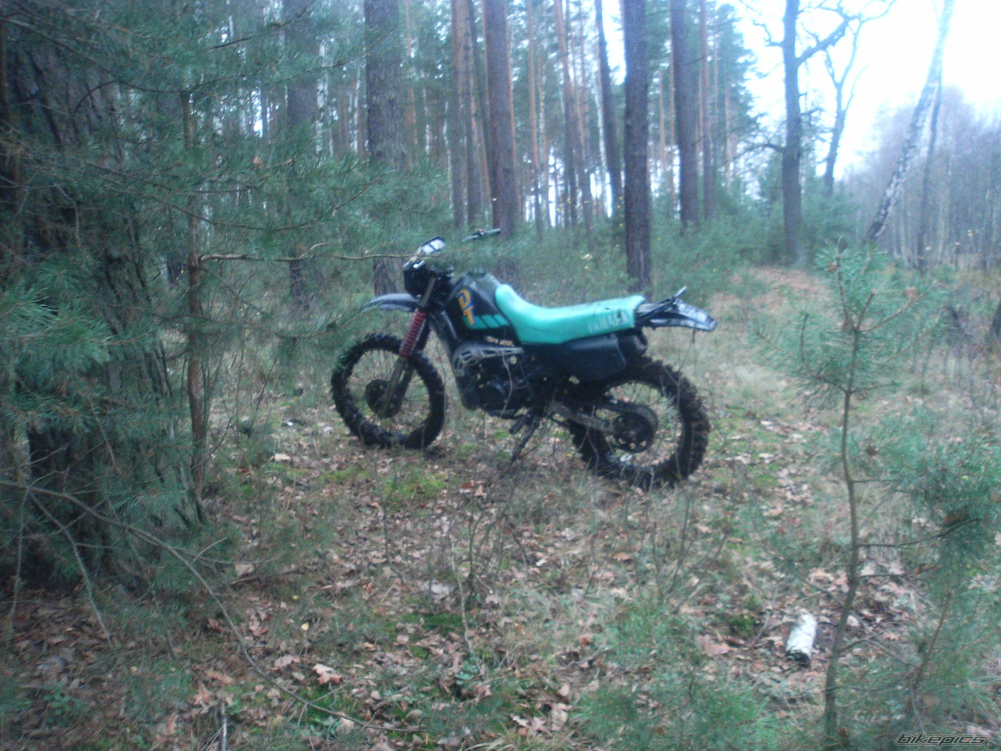 Photo 1487786