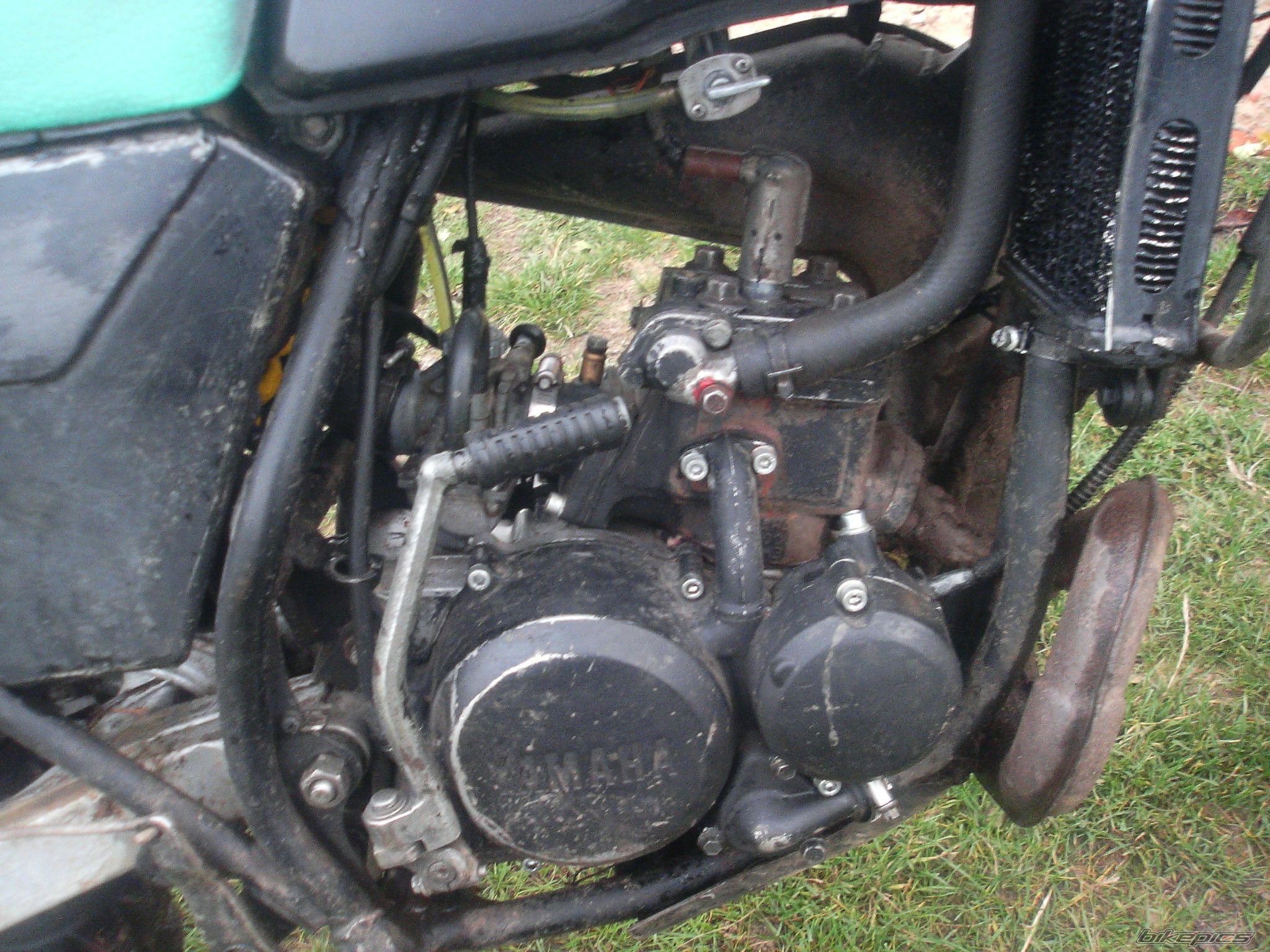 Photo 1487789