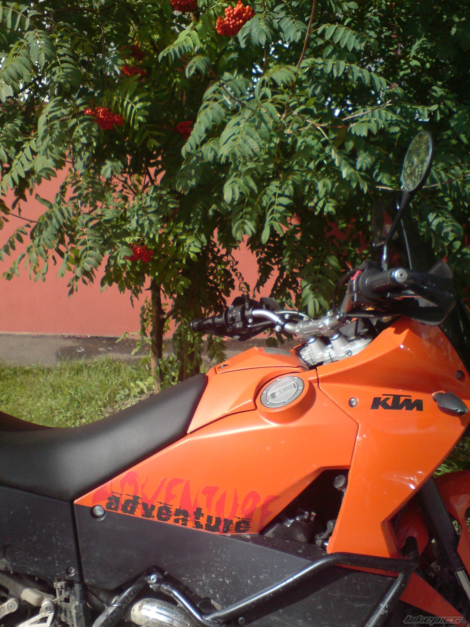 Photo 1487819