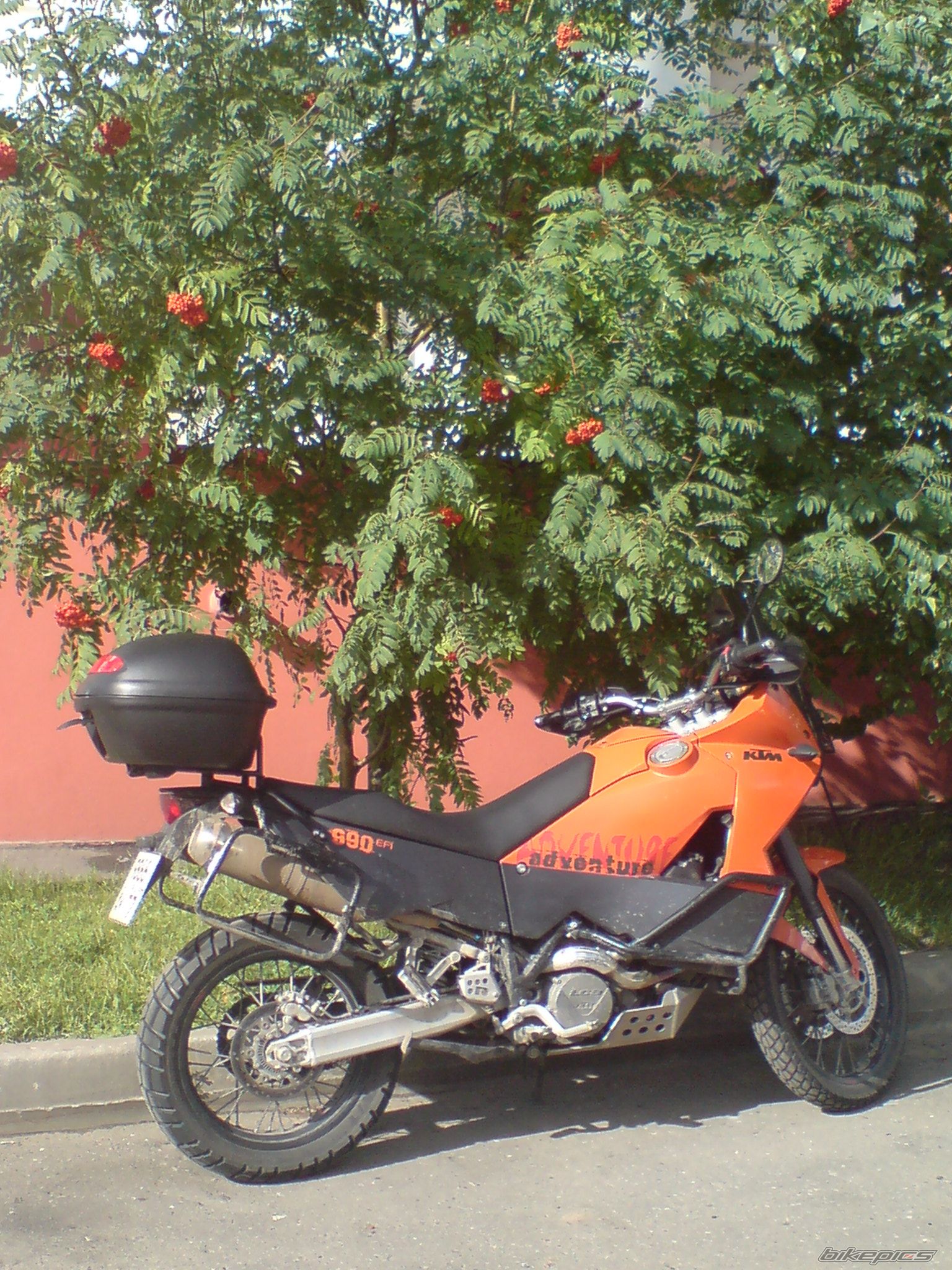 Photo 1487822