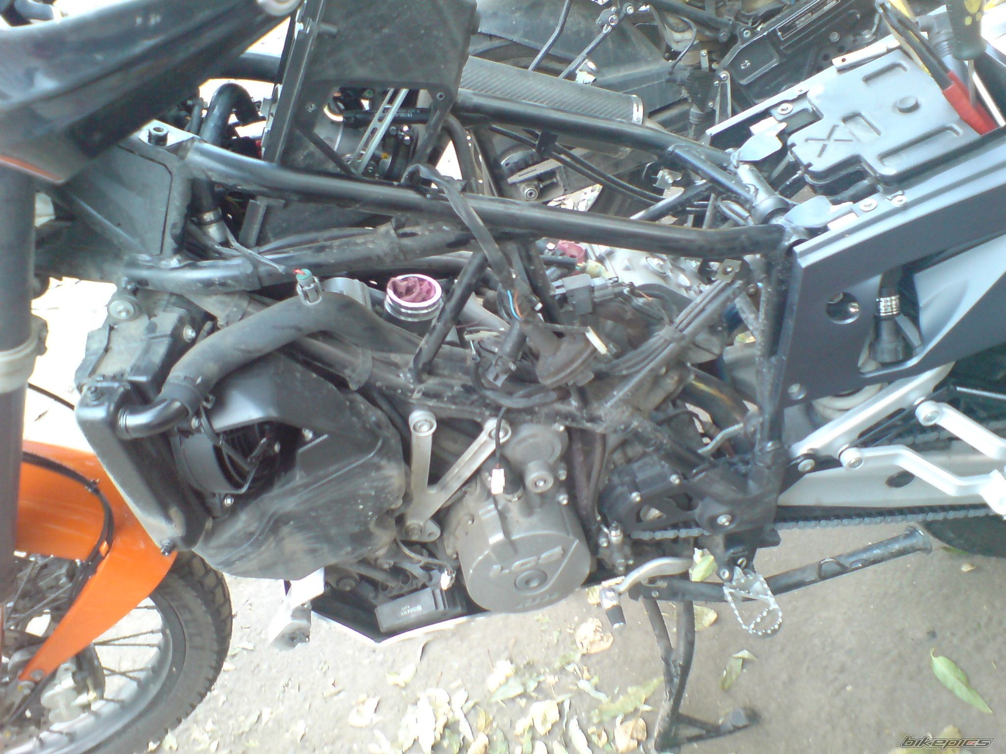 Photo 1487824