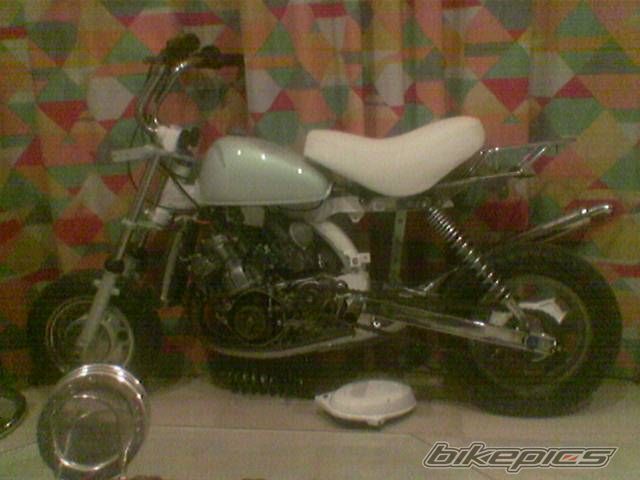 Photo 1487839