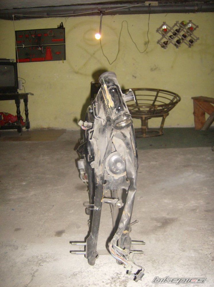 Photo 1487859