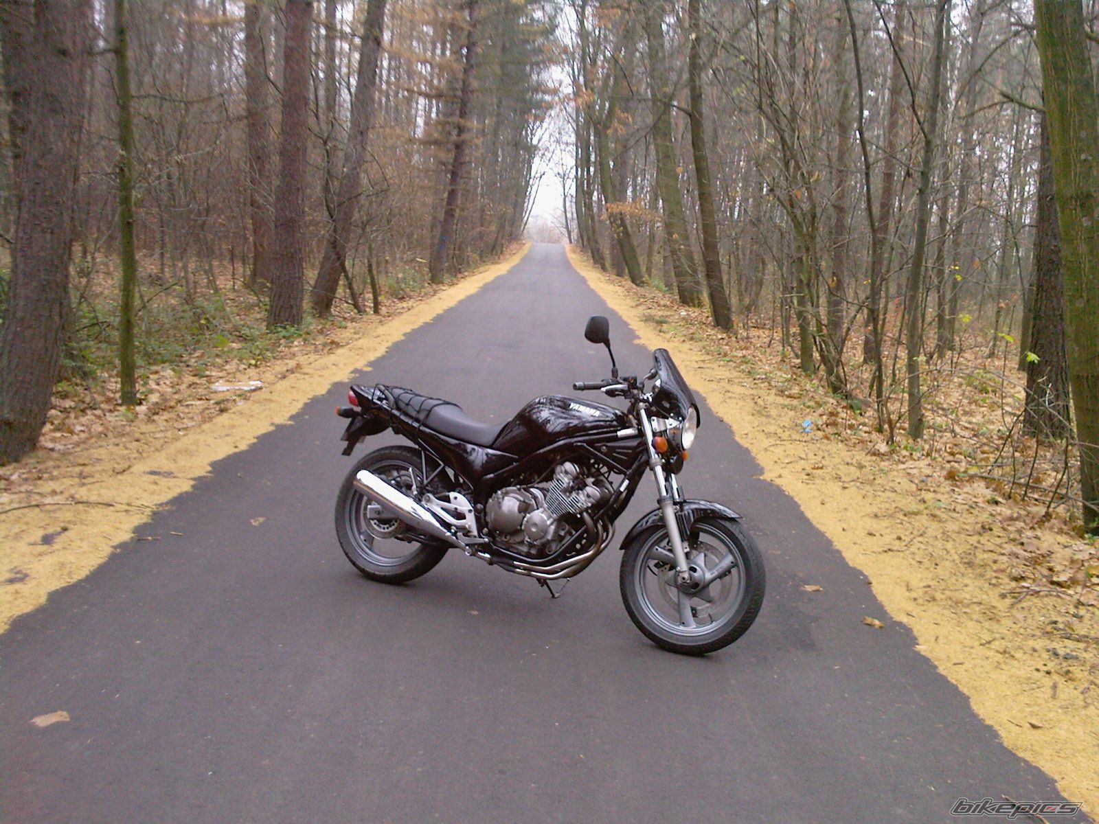 Photo 1487877