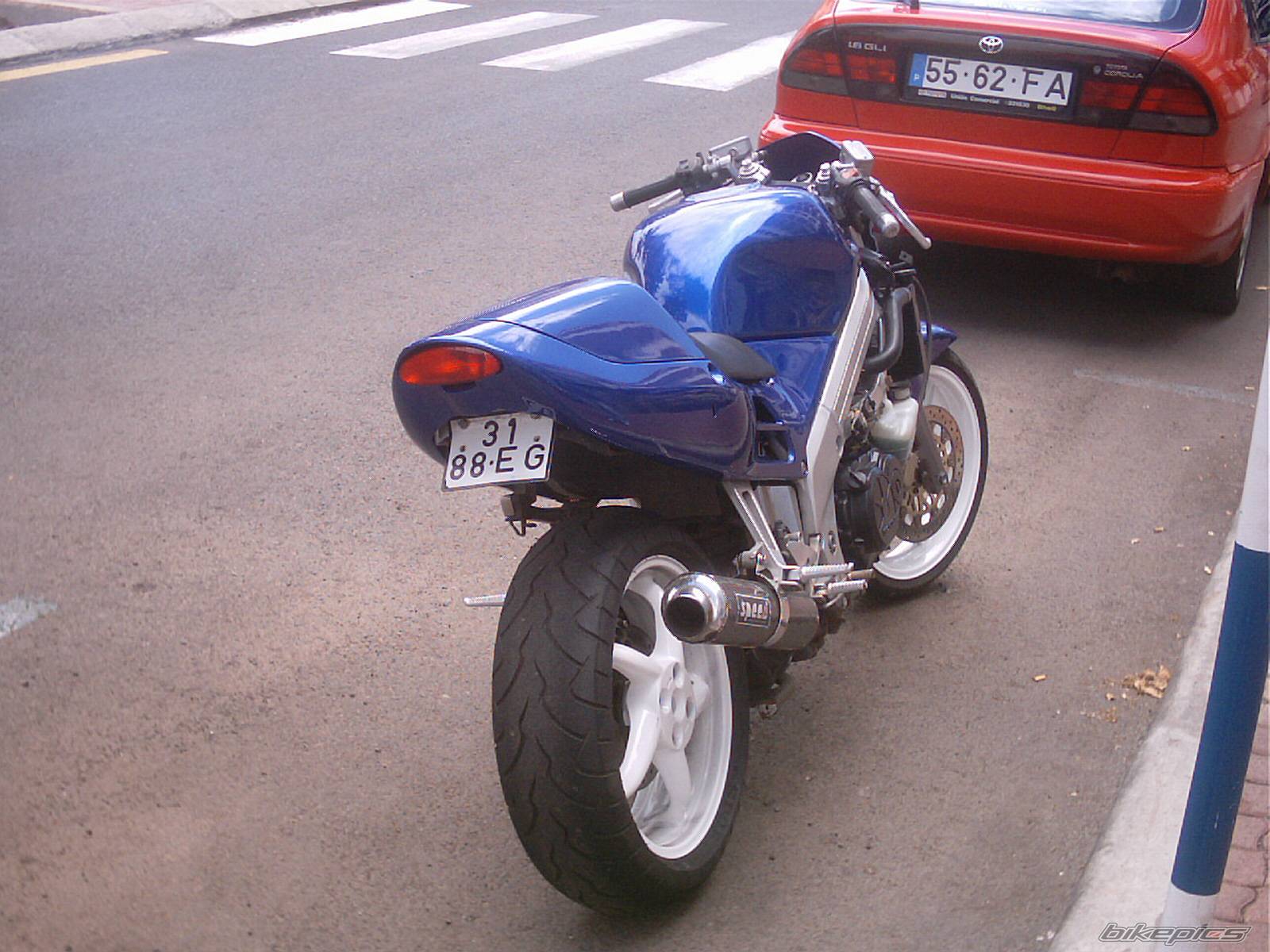 Photo 148788