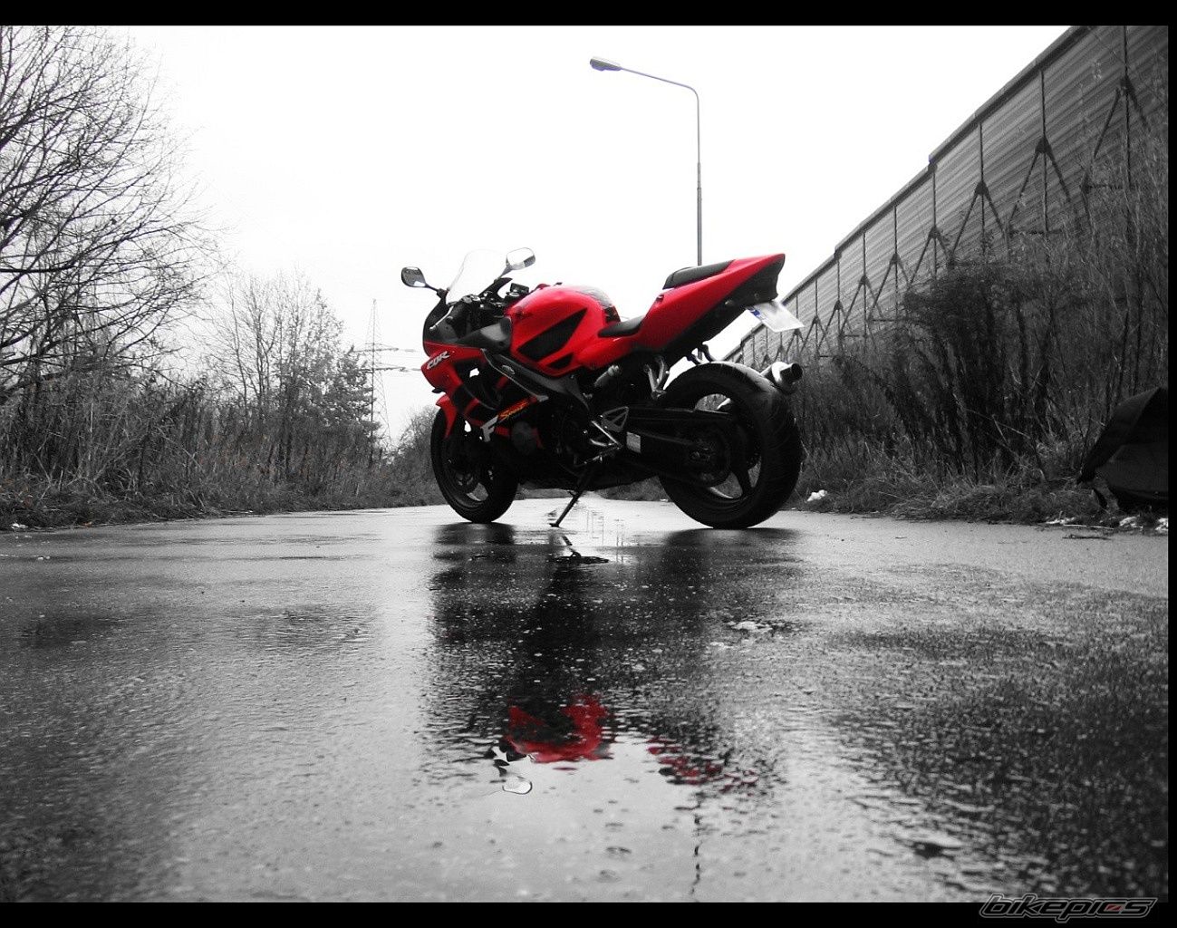 Photo 1487937