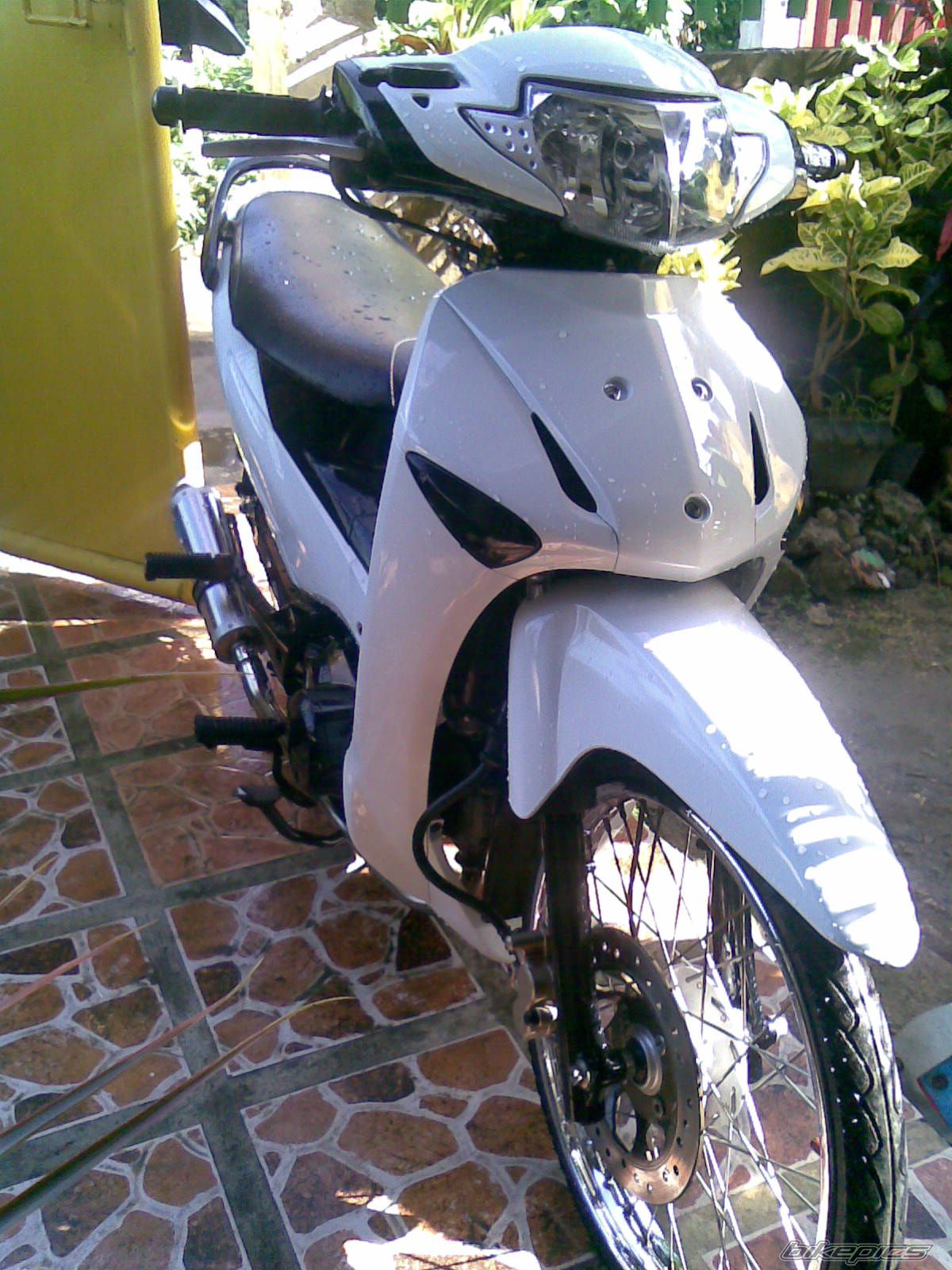 Photo 1487982