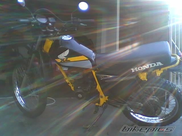 Photo 1487993
