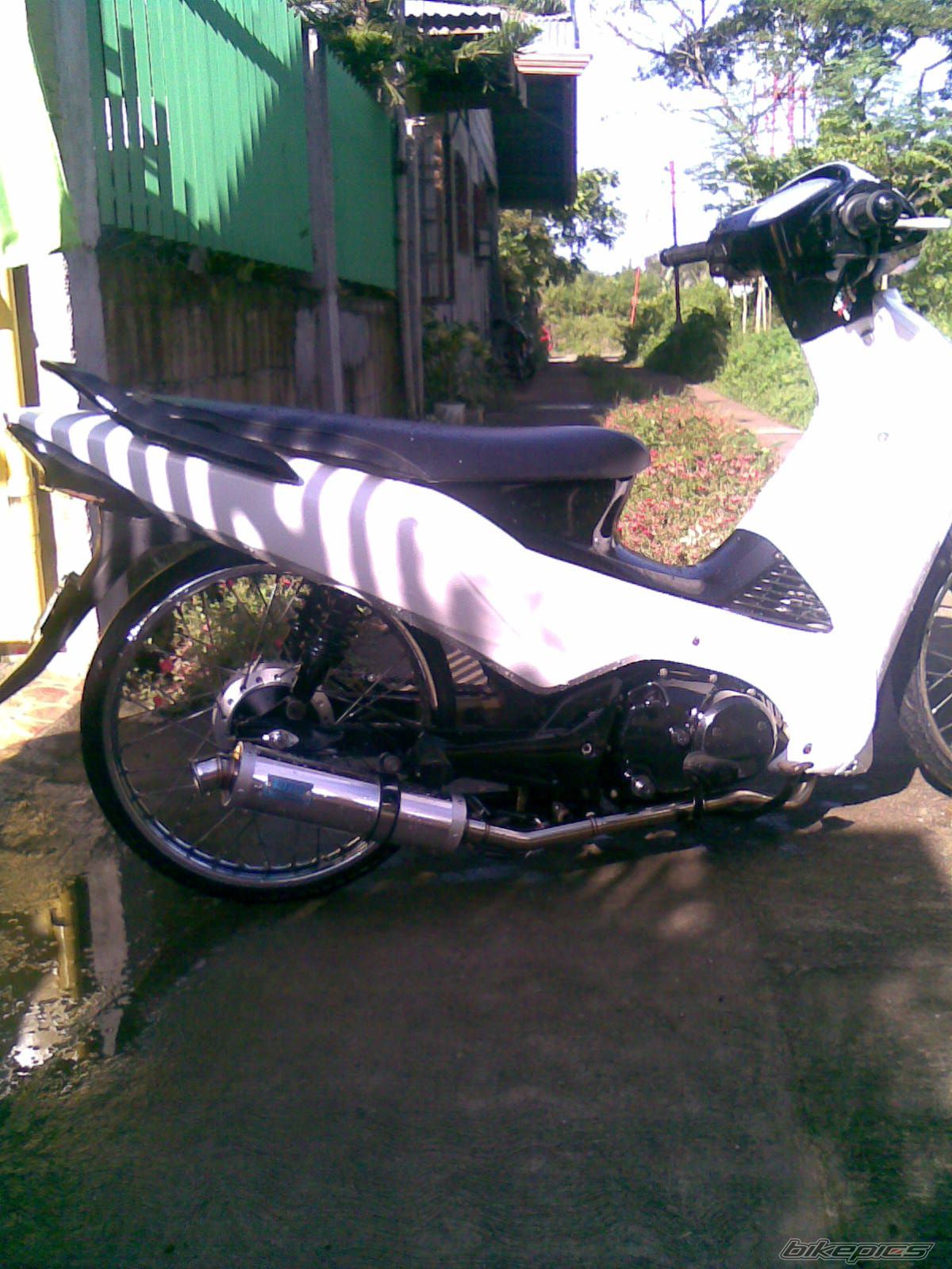 Photo 1488003