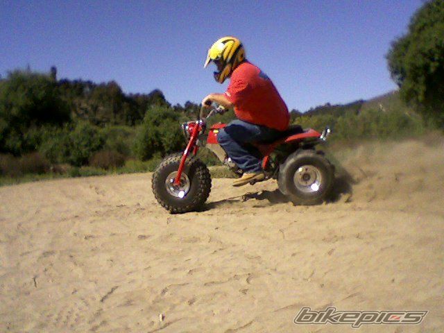 Photo 1488054
