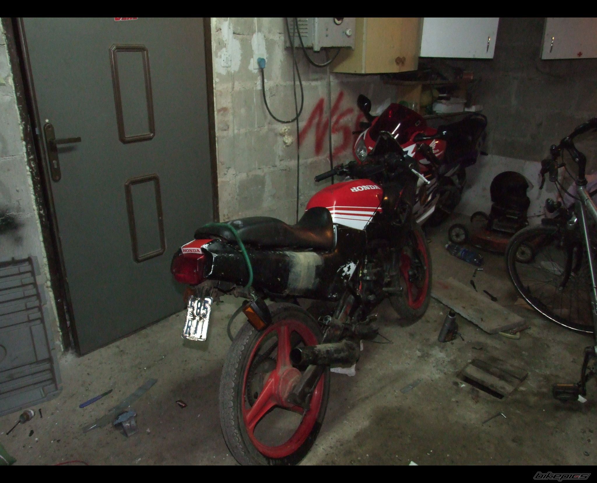 Photo 1488218