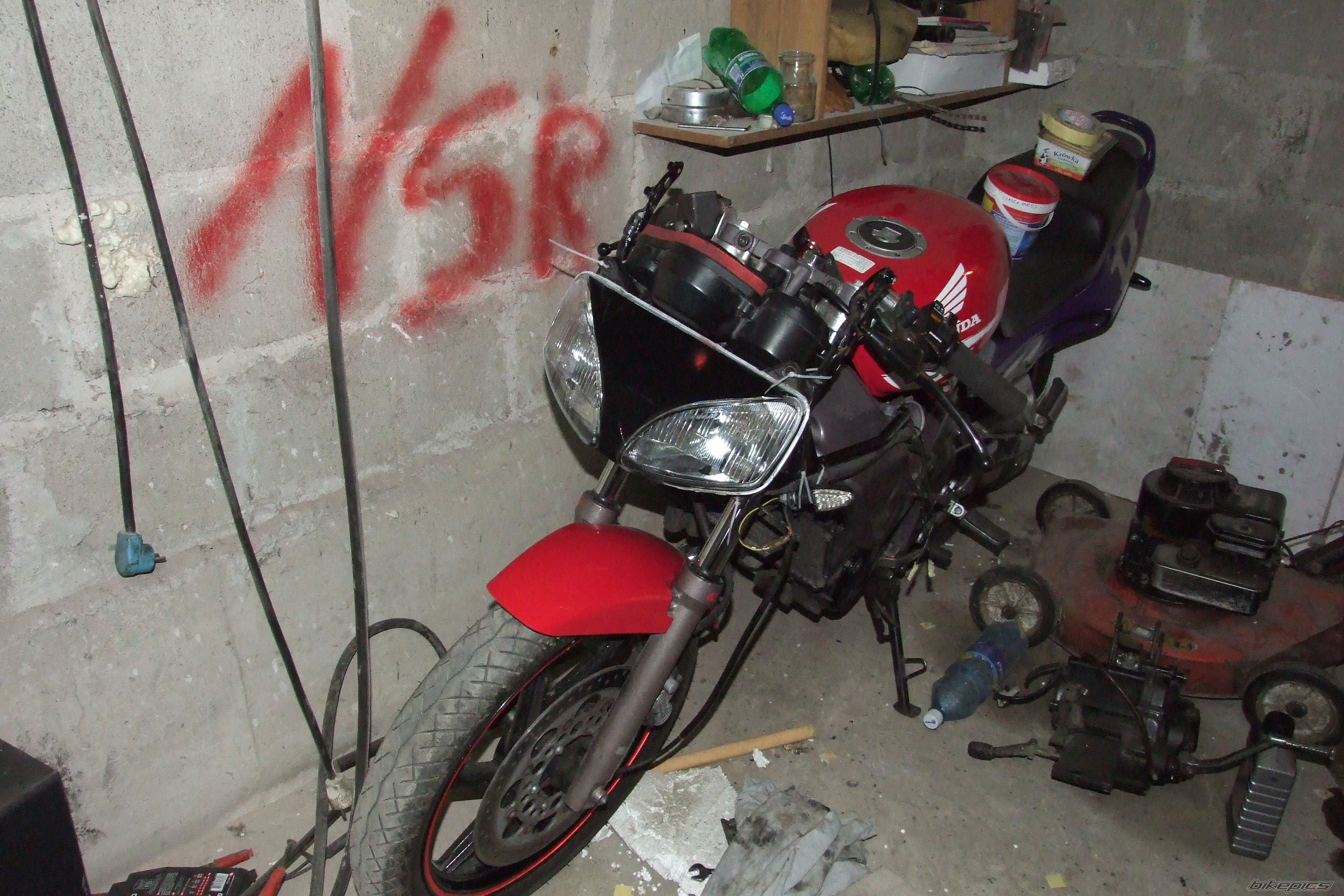 Photo 1488229