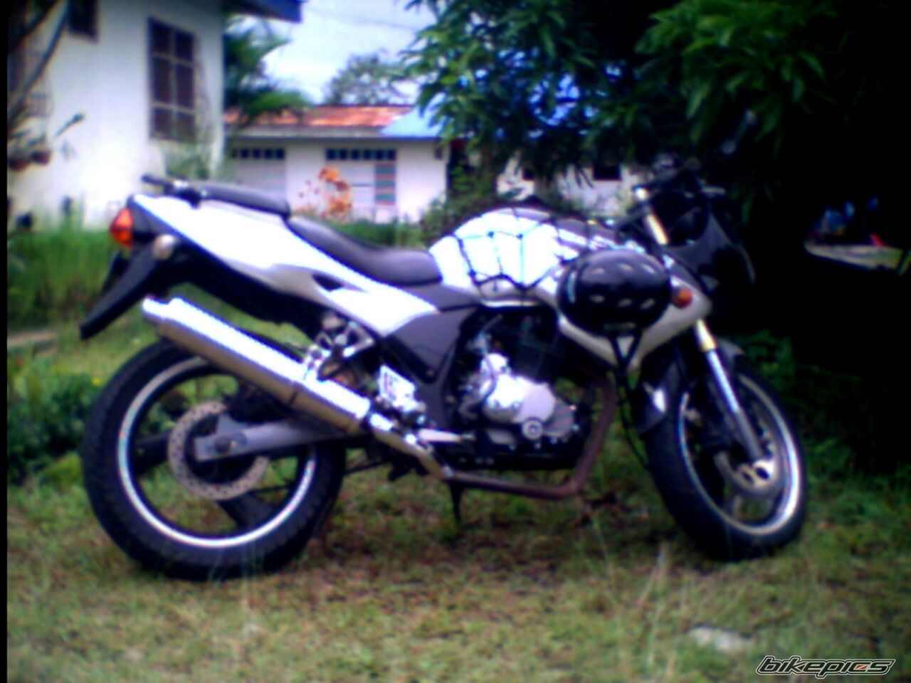Photo 1488330