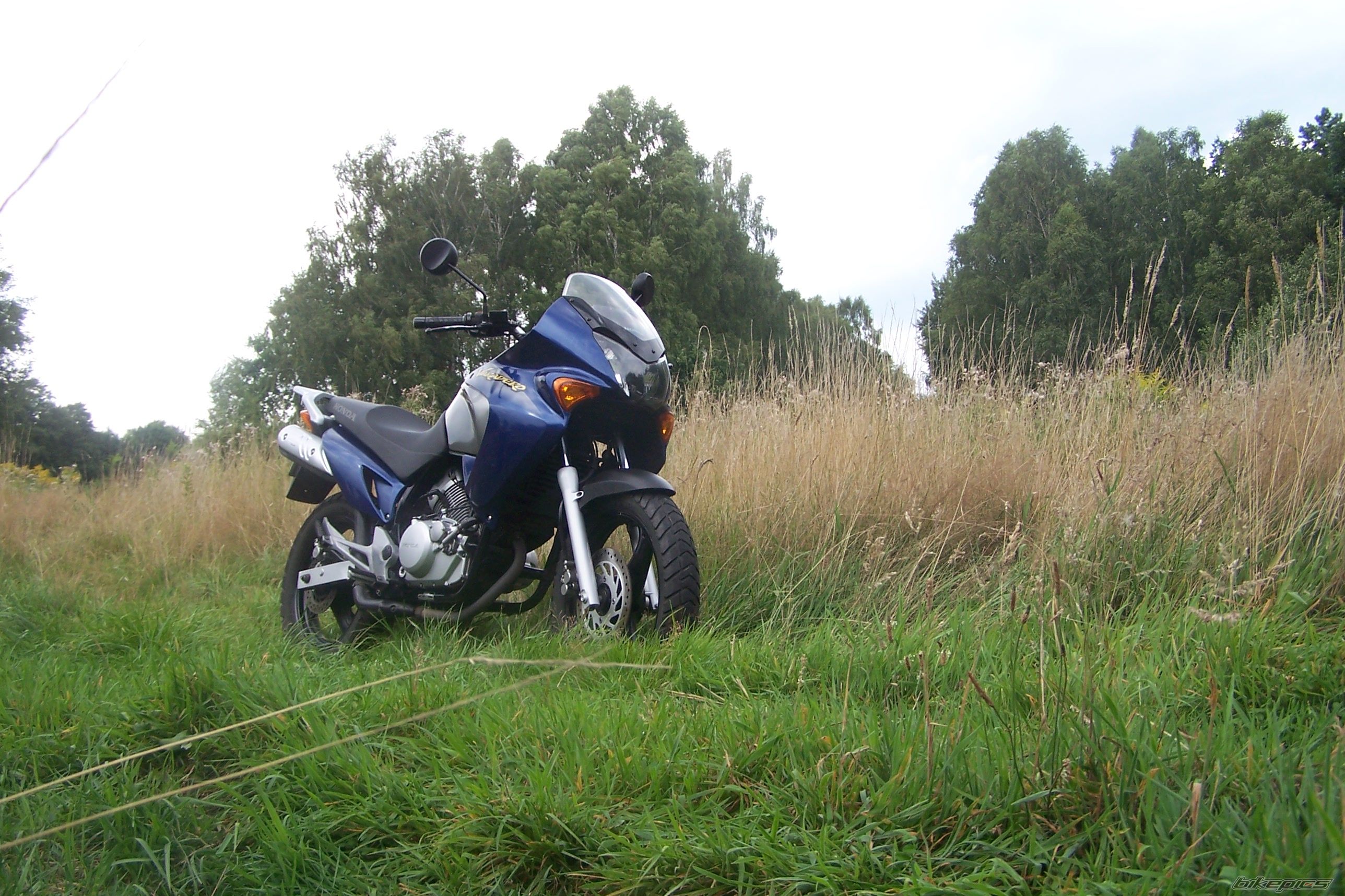 Photo 1488337