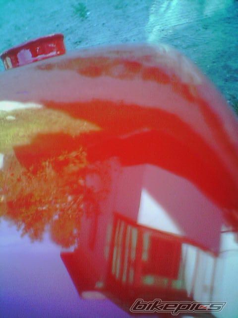 Photo 1488431