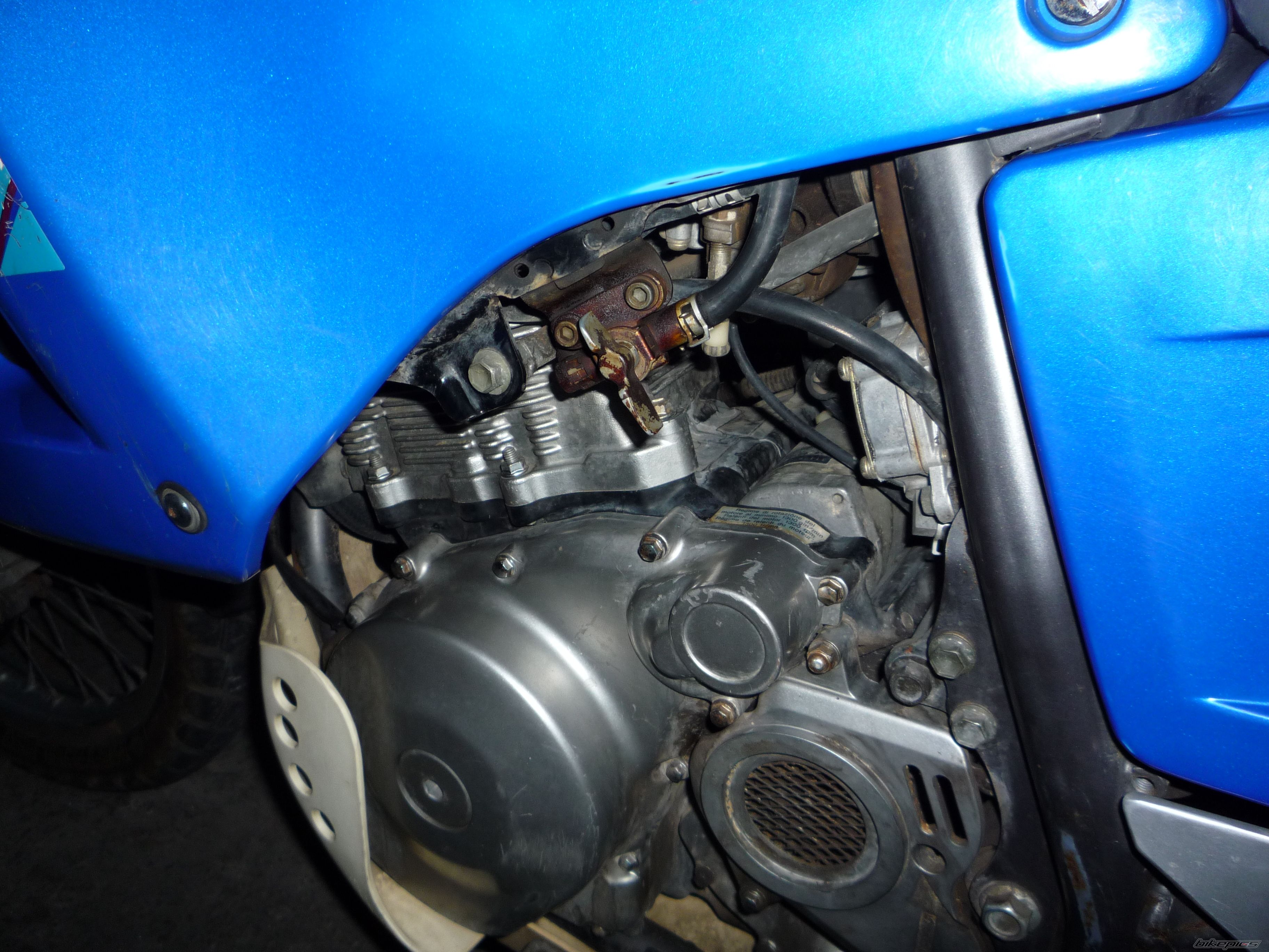 Photo 1488449