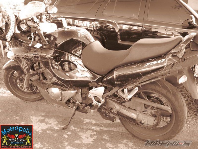 Photo 1488469