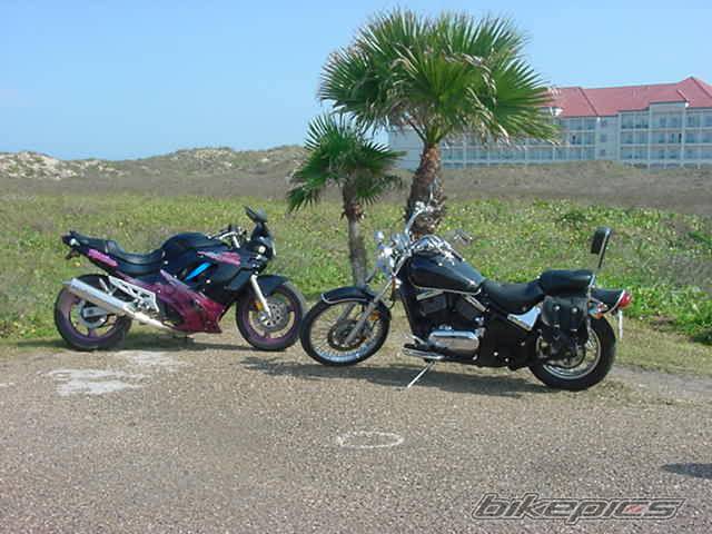 Photo 148856