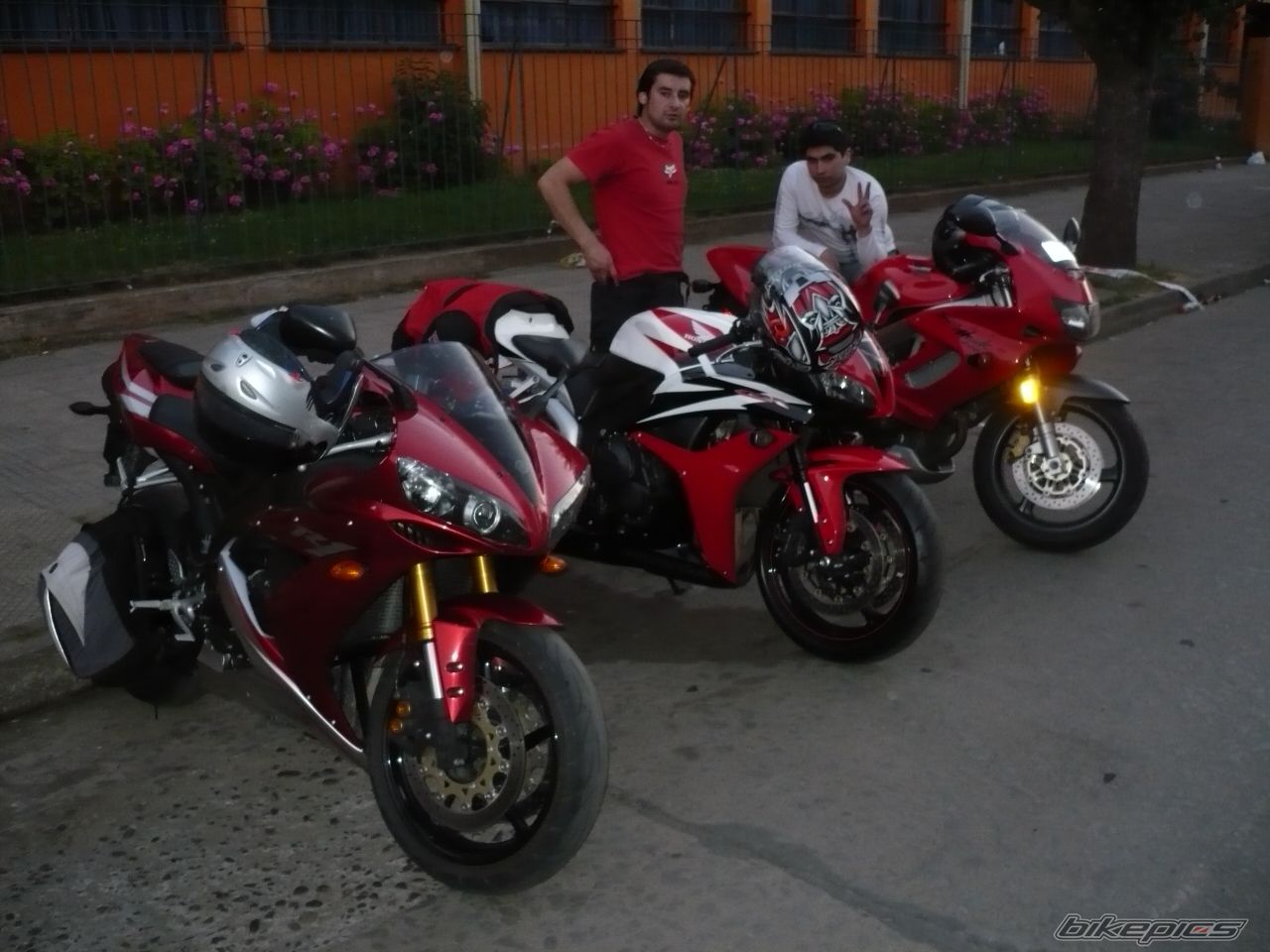 Photo 1488653