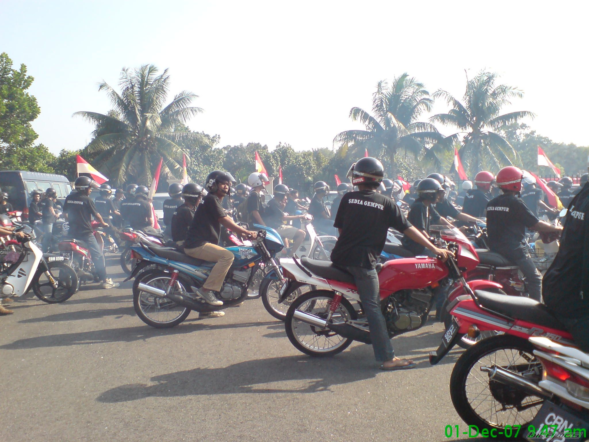 Photo 1489002