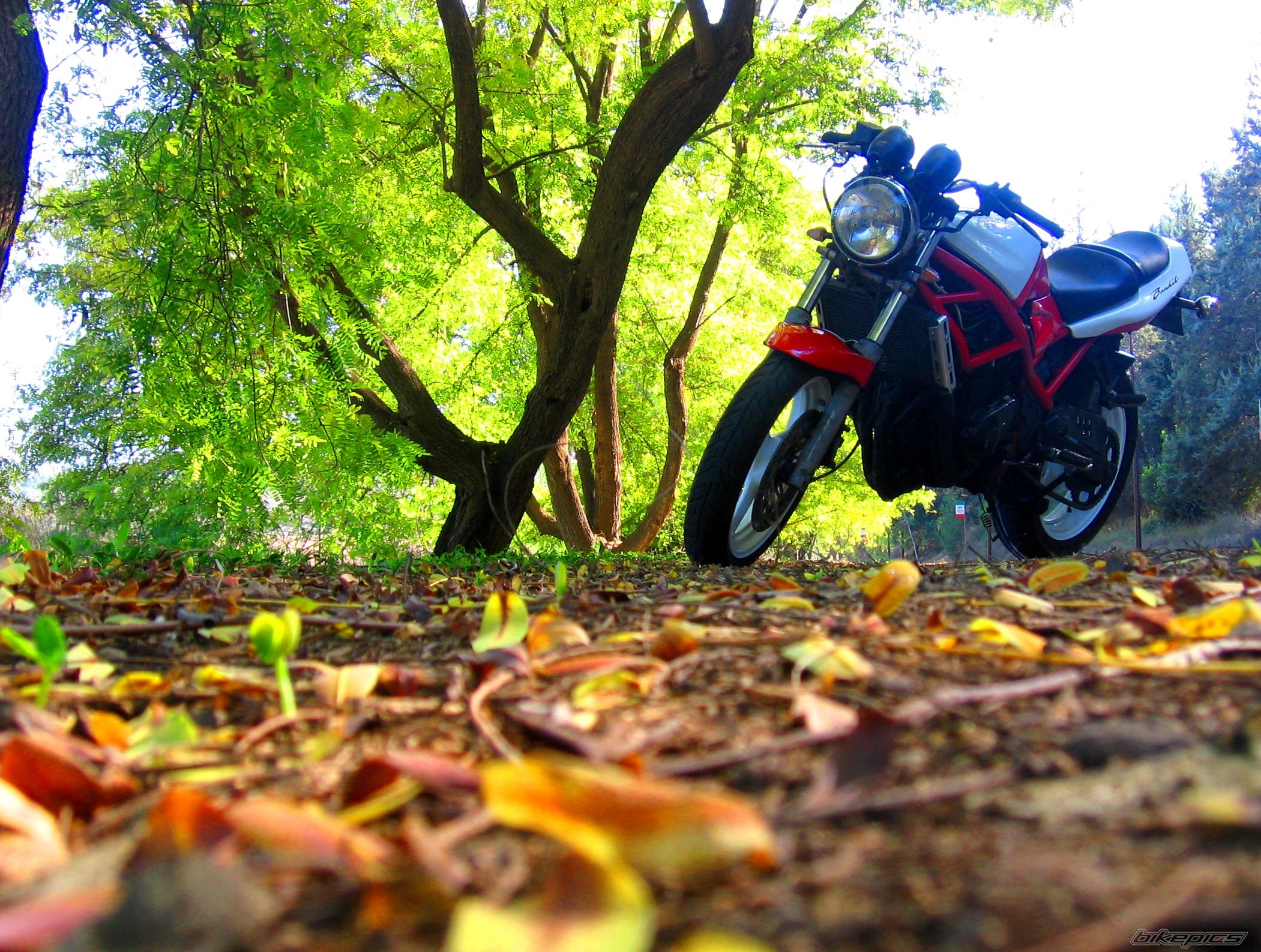 Bike Photo 1489047