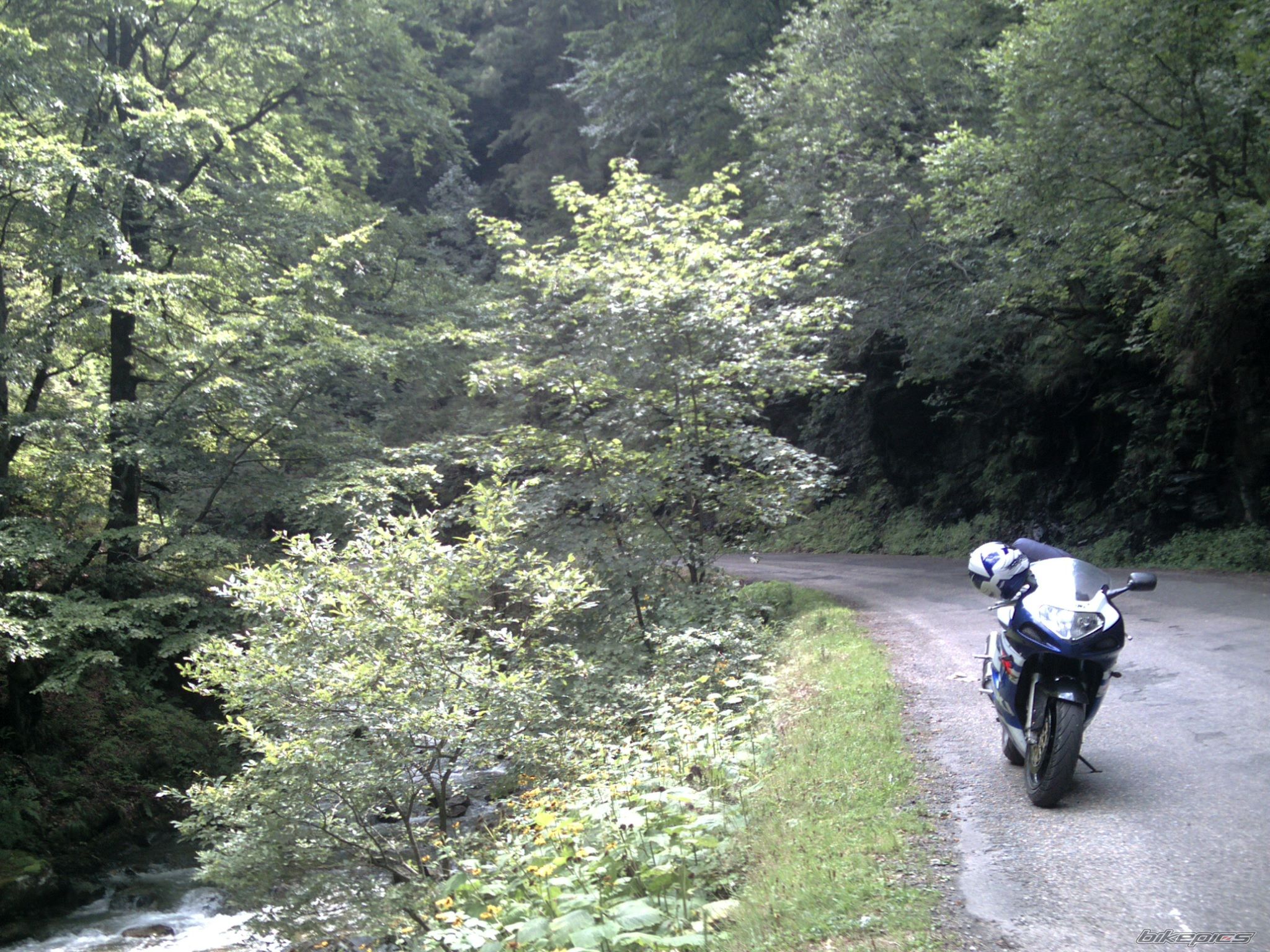 Photo 1489243