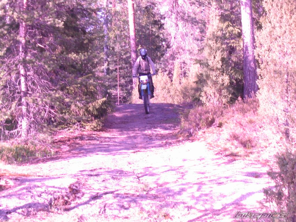 Bike Photo 148926