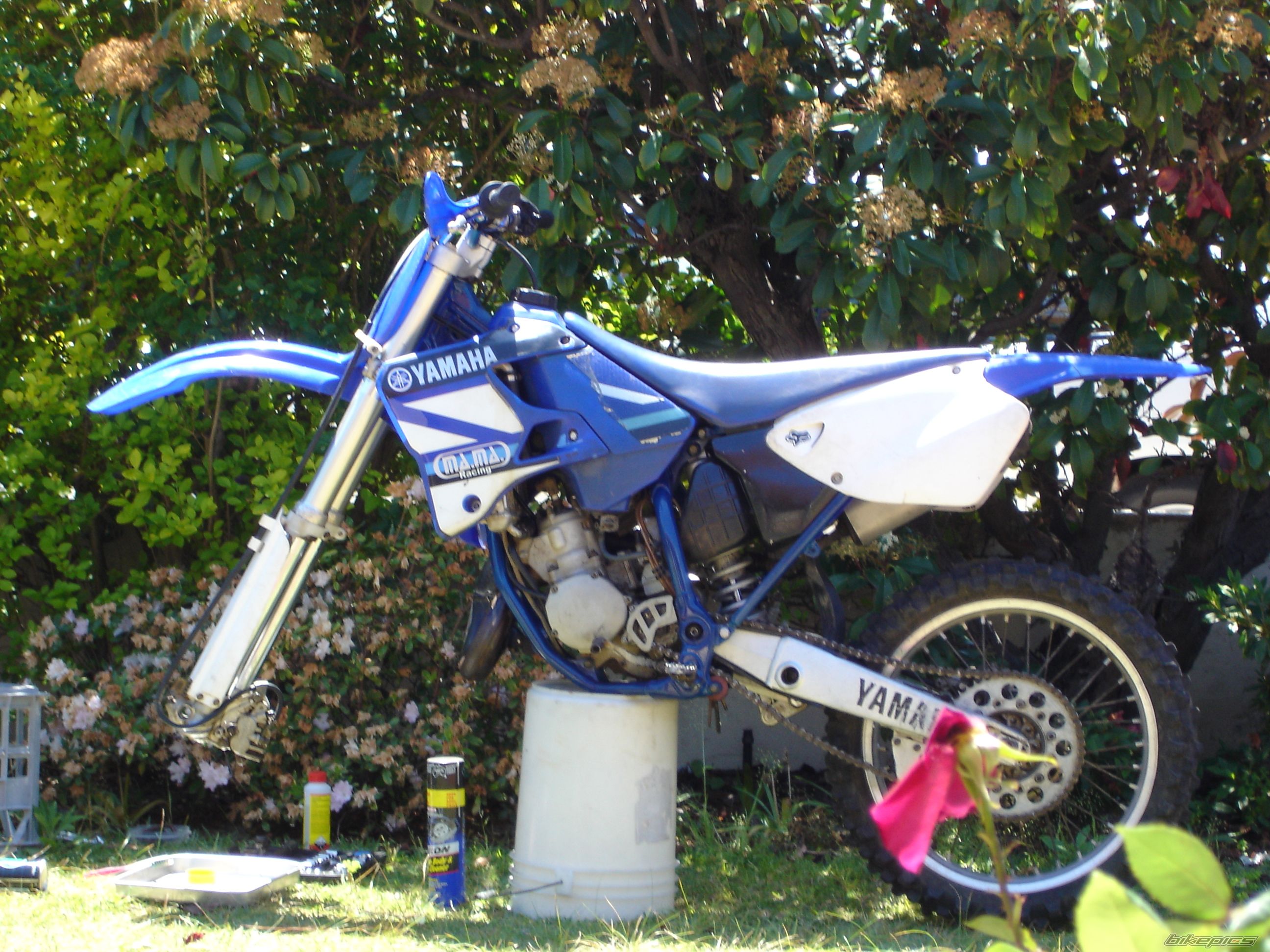 Bike Photo 1489348