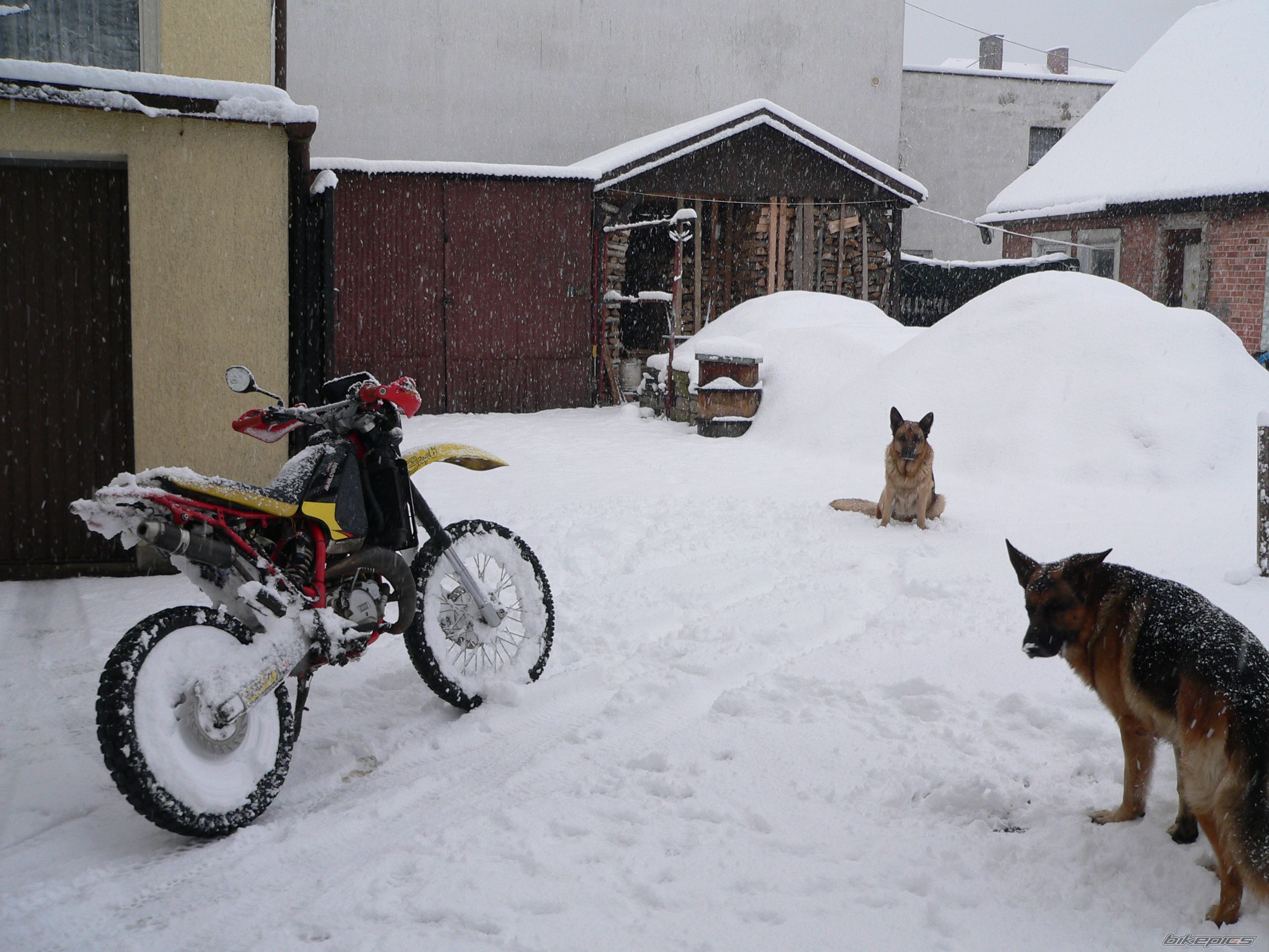 Photo 1489364